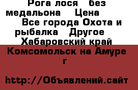 Рога лося , без медальона. › Цена ­ 15 000 - Все города Охота и рыбалка » Другое   . Хабаровский край,Комсомольск-на-Амуре г.